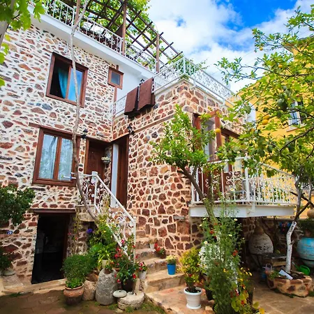 Hotel Lemon - Adult Only 3*